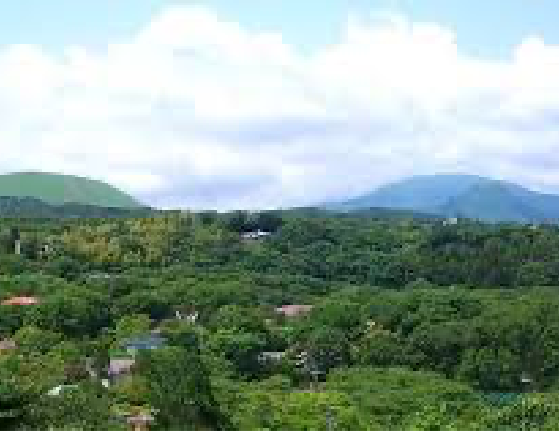 大自然に囲まれた好立地