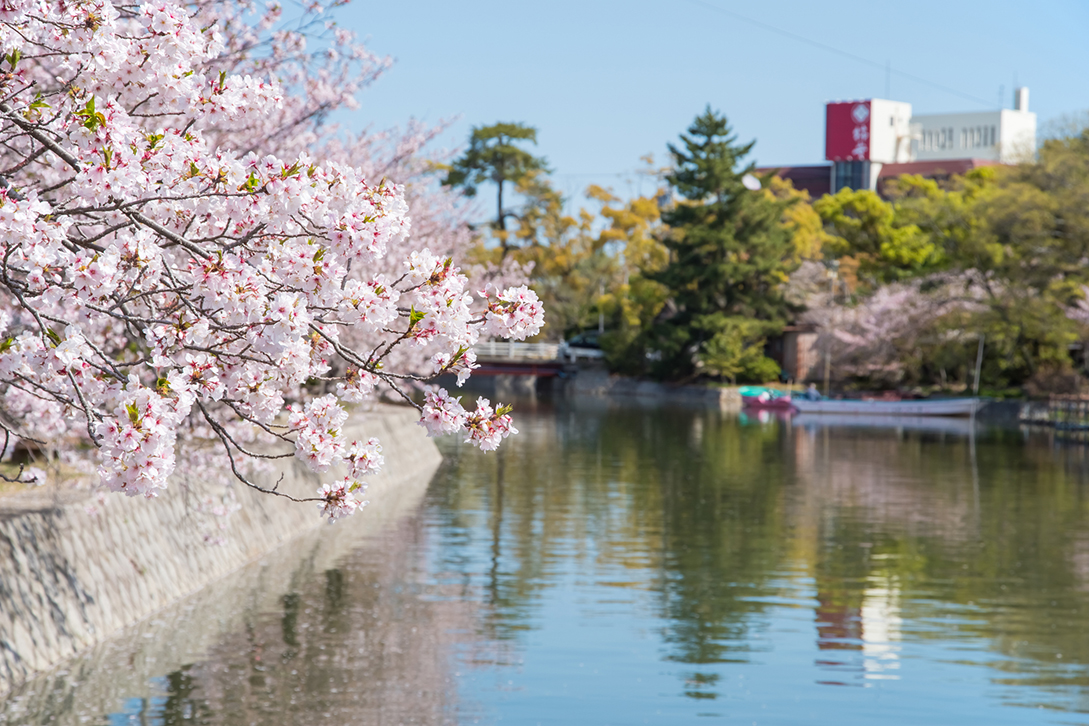住み慣れた地域で暮らす